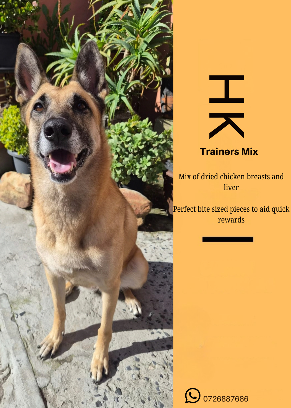 Trainers Mix