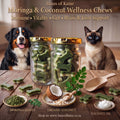 Moringa and Coconut Wellness Chews (30)