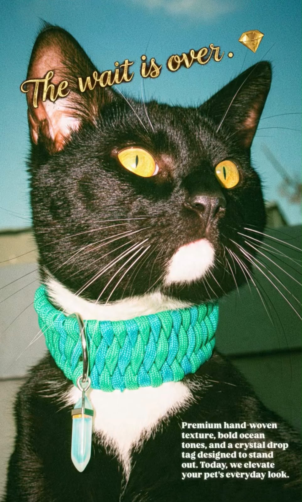 Haus of Kane Handmade Collars
