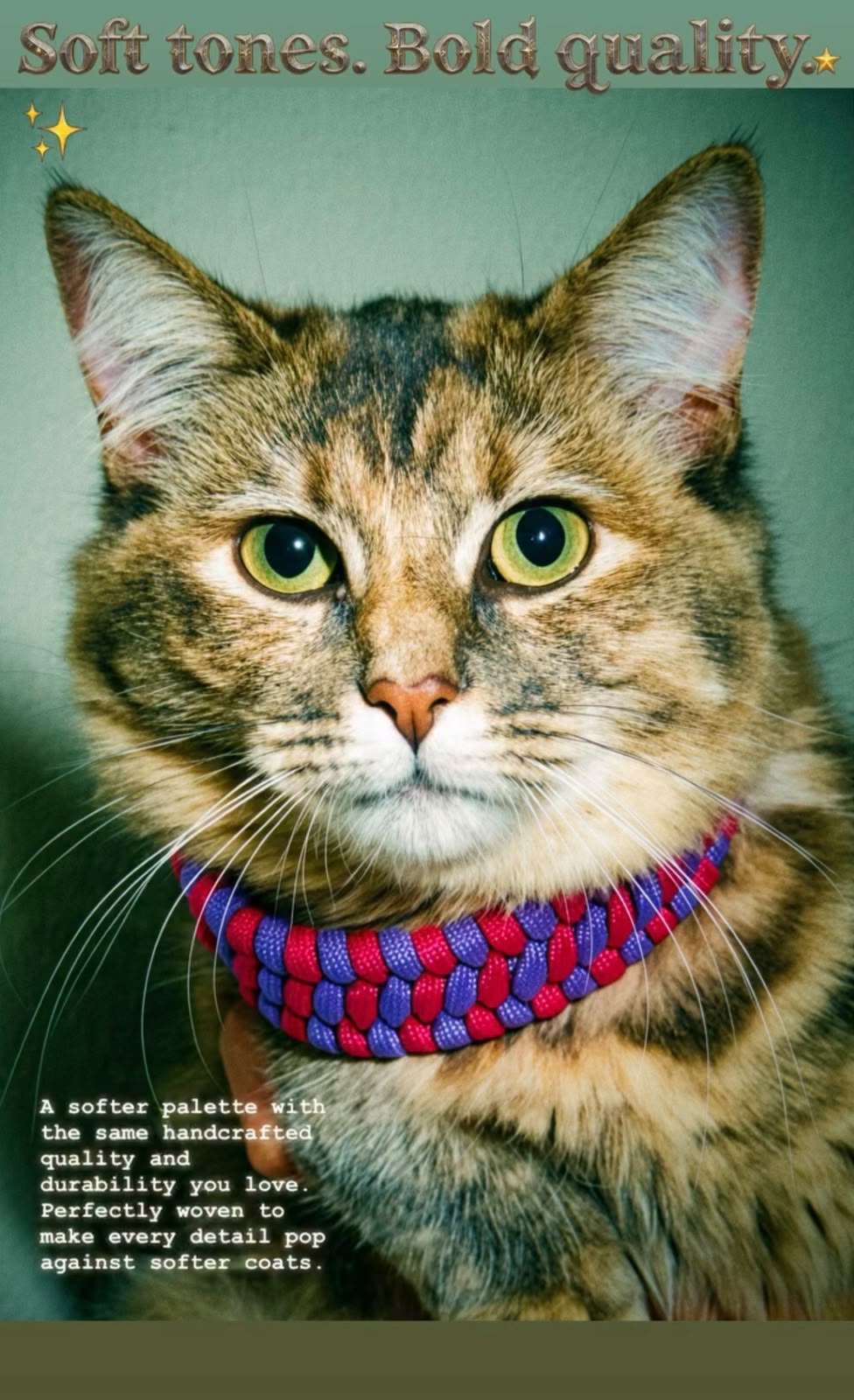 Haus of Kane Handmade Collars