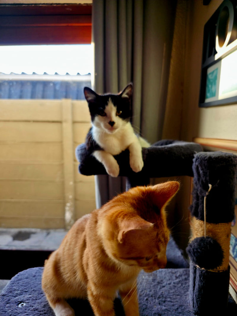 Kevin & Neo