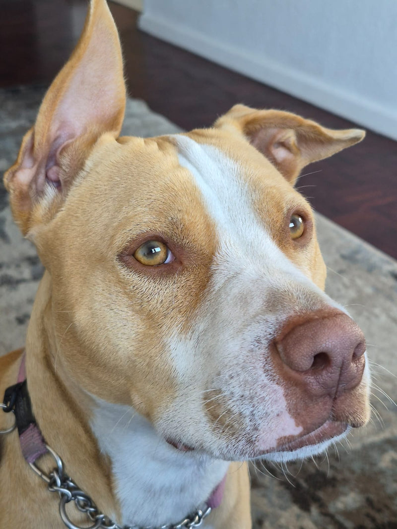 Mia