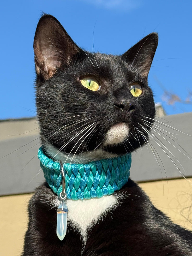Loki