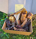 Dog Chew Variety Box