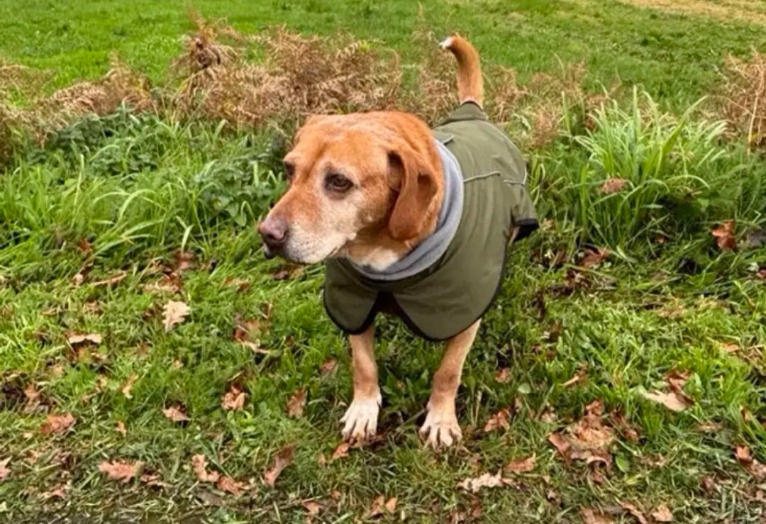 Haus of Kane Rain Jackets